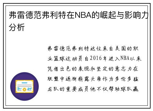 弗雷德范弗利特在NBA的崛起与影响力分析